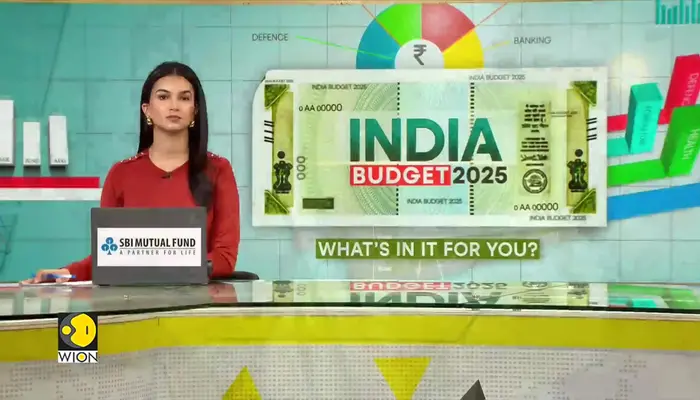 India budget 2025 expectations: Tax relief top wish for budget 2025 | WION detailed coverage