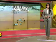 Floods swamp Australia's cattle country