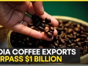 India Marks A Record In Coffee Exports Surpass $1 Billion For The First Time