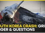 Jeju Air plane crash: What went wrong in South Korea's deadliest aviation disaster?