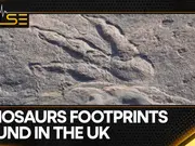 Hundreds of different dinosaur footprints discovered in UK's Oxfordshire