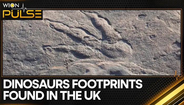 Hundreds of different dinosaur footprints discovered in UK's Oxfordshire