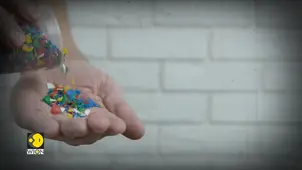 Microplastics in placentas lead to premature births: Study