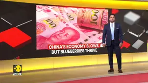 China: Yunnan emerges as china's Bluerberry hub