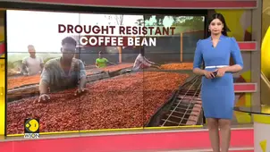 South Sudan bets on climate-resistant Excelsa coffee for revival