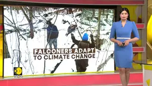 Falconers struggle as climate change disrupts hunting in Wisconsin