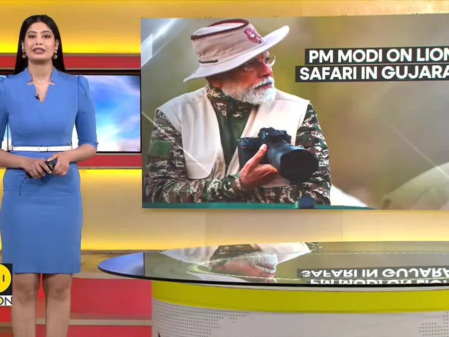 India sanctions $35 million for project lion to conserve Asiatic lions