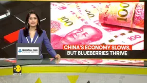 China overtakes US as world's top blueberry producer