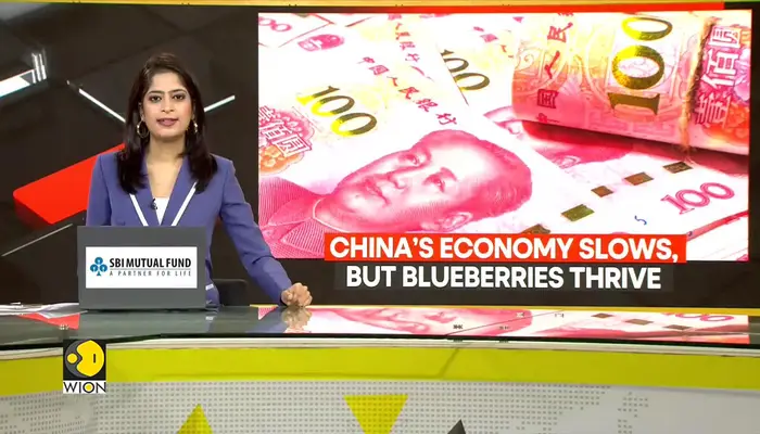 China overtakes US as world's top blueberry producer