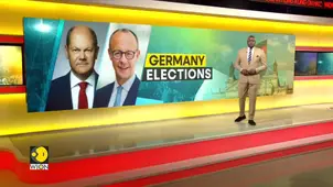 Social Democrats secure victory in Hamburg state election with 33. 5% votes