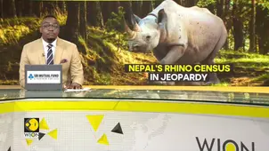 Nepal's Rhino census stalled as USAID funding runs dry