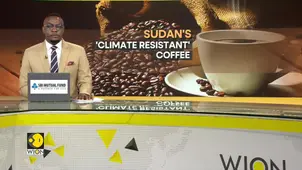 Rare coffee species can transform South Sudan's industry