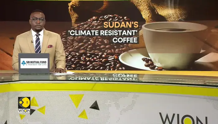 Rare coffee species can transform South Sudan's industry