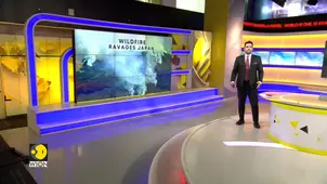 Extensive forest fire ravages parts of Northern Japan