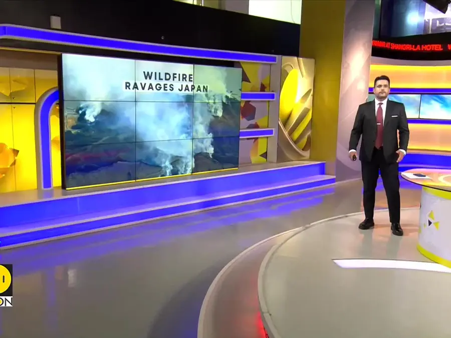 Extensive forest fire ravages parts of Northern Japan