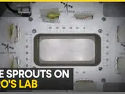 ISRO successfully germinates cowpea seeds in space in just four days under microgravity