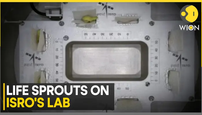 ISRO successfully germinates cowpea seeds in space in just four days under microgravity