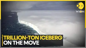 A23A Iceberg's trillion-tonne journey: From Antarctica to South Georgia