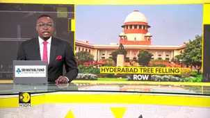 SC Halts Tree Felling in Telangana’s Kancha Gachibowli Forest, What's Next?