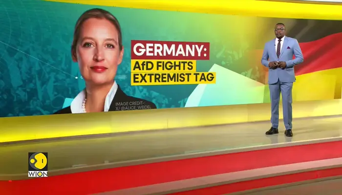 Germany's AfD sues intelligence agency over 'extremist' label