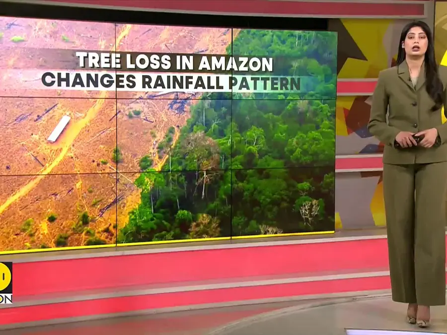 Amazon tree loss may worsen both floods and droughts: Study