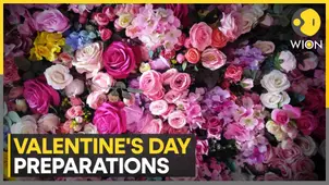 Colombia's pocket full of roses on Valentine's day