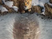 Mufasa The Lion King OTT release: When and Where To Watch The Film