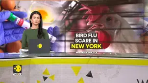 Bird flu scare in New York: New bird flu strain detected in US dairy cows