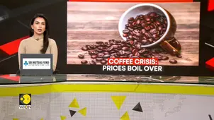 Global coffee market shifts to 'survival mode'