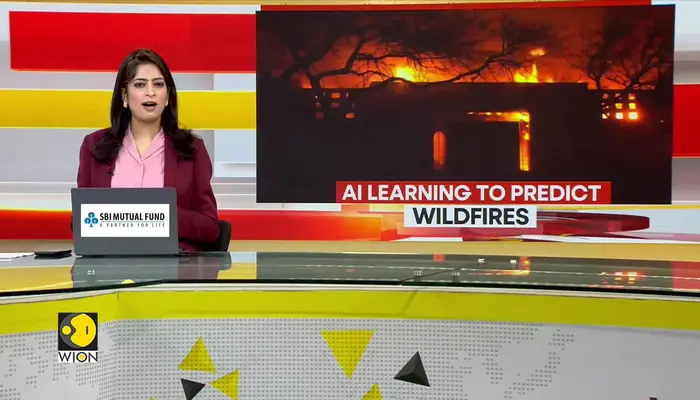 Researchers develop new AI model to predict probable wildfires