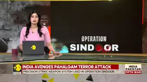 Israel envoy Danny Danon speaks to WION's Susan Tehrani on Pakistan's cross-border terrorism
