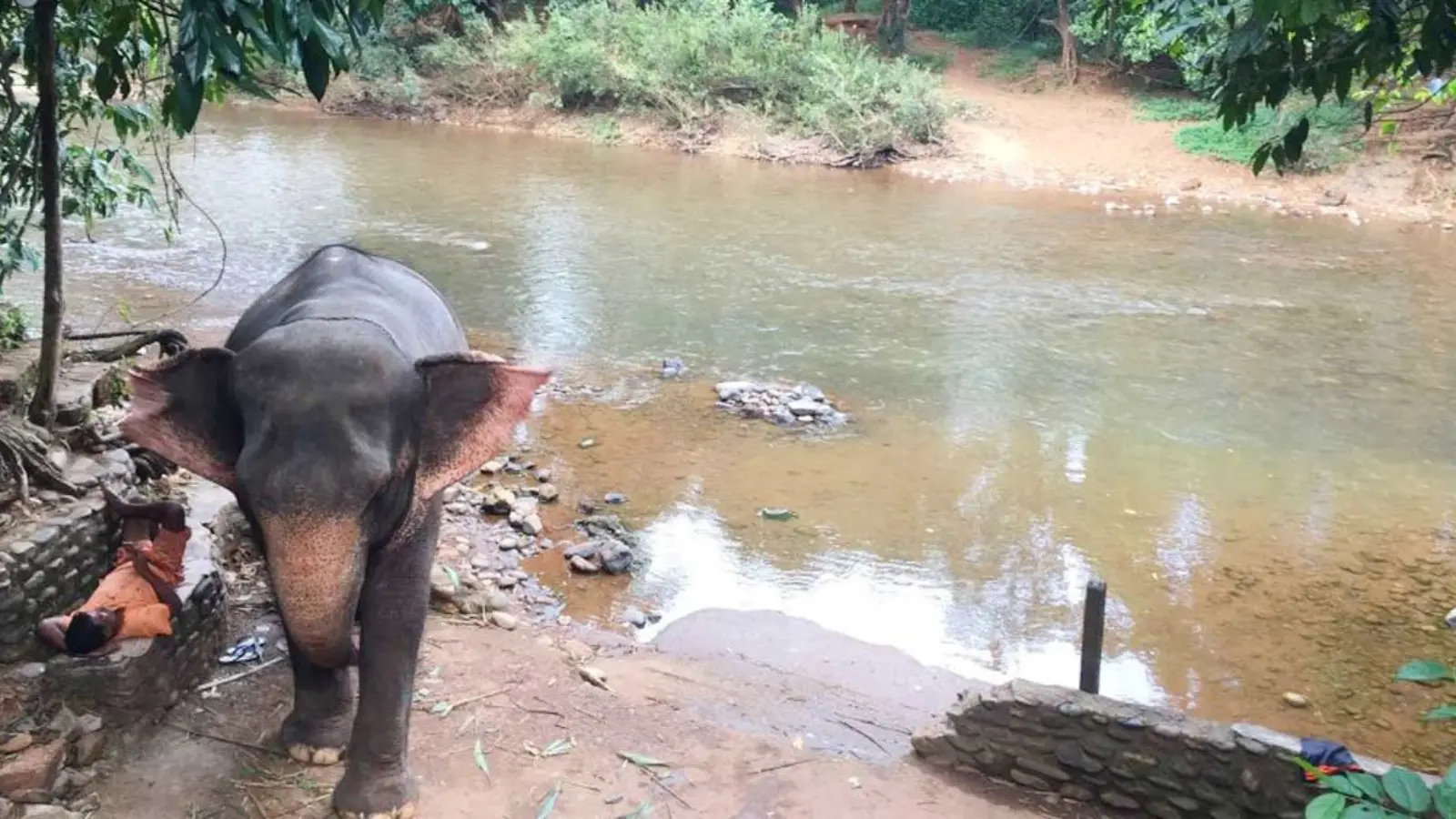 Bhagwan Mahavir Wildlife Sanctuary & Mollem National Park