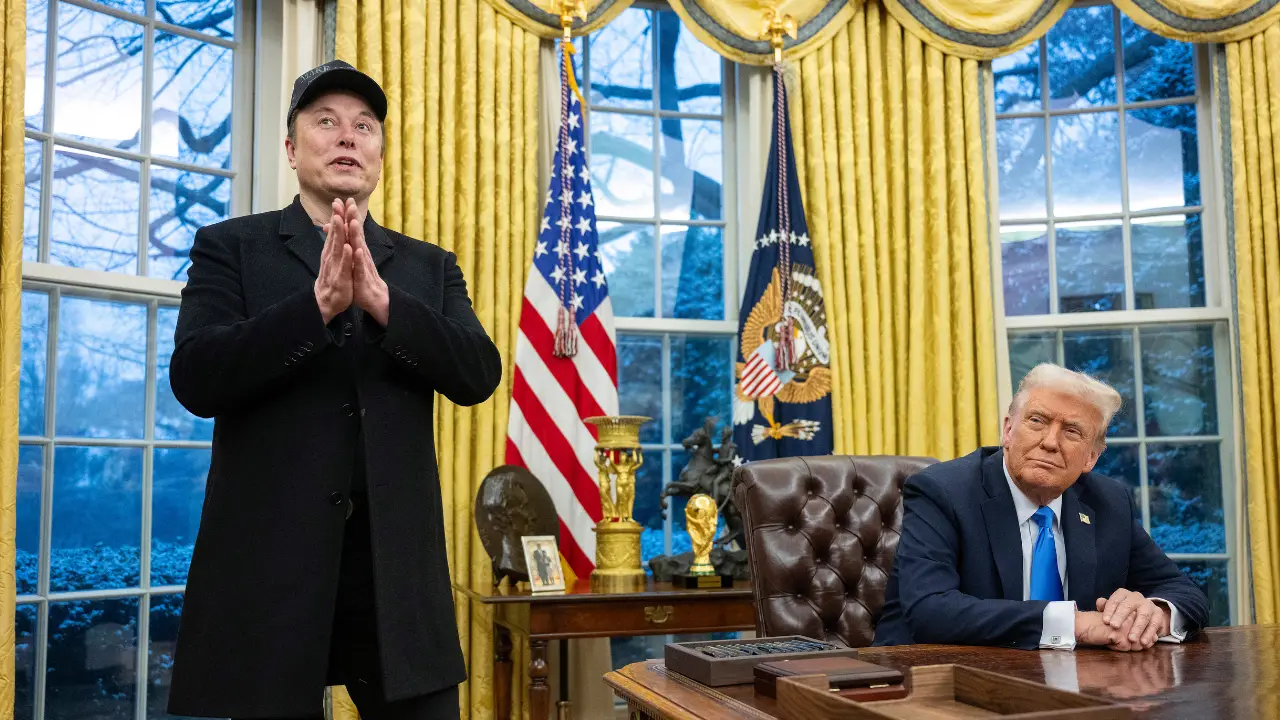Mozambique or Gaza? Journalist fact-checks DOGE's $50mn condoms claim, Musk replies