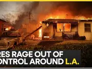 Los Angeles Wildfire: Residents return to remains of destroyed homes