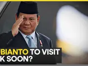 Indonesian President Subianto to visit Islamabad after Republic day celebrations: reports