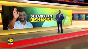 Monkey business in Sri Lanka triggers national-wide blackout