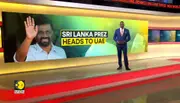Monkey business in Sri Lanka triggers national-wide blackout
