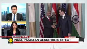 India-Pakistan ceasefire: Jaishankar says, 'India-Pakistan worked out stoppage of military action'