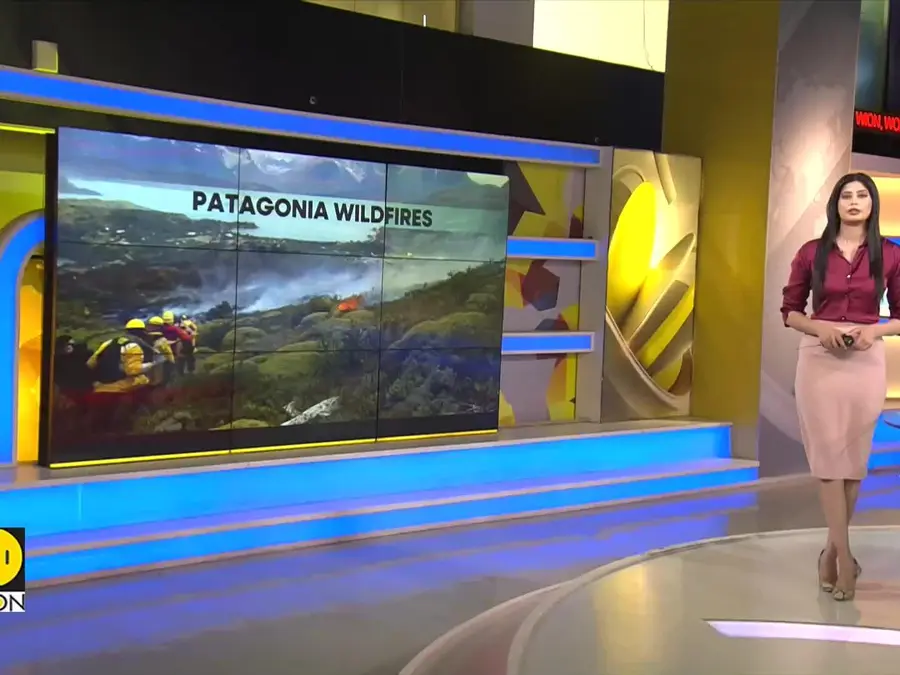Wildfires continue burning Argentina's Patagonia forests