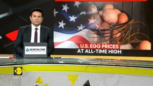 US: Trump claims 59% drop in egg prices since intervention