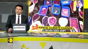 Kenya: Farmers turn to indigenous seeds to fight drought & crop failure