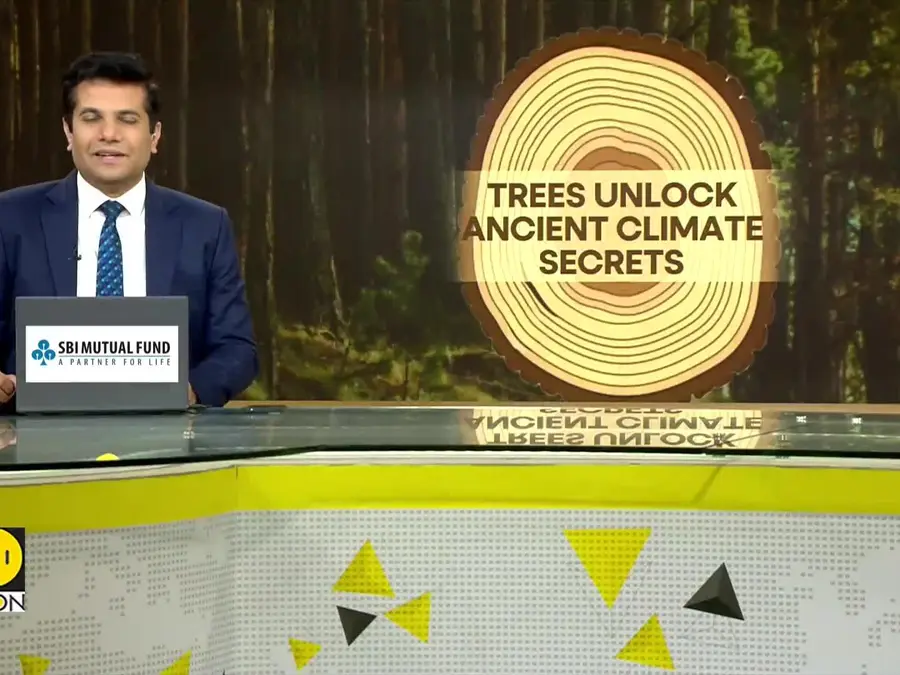 Tree rings reveal how climate toppled Chinese dynasties