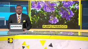 Scientists reveal purple is not a colour but an illusion
