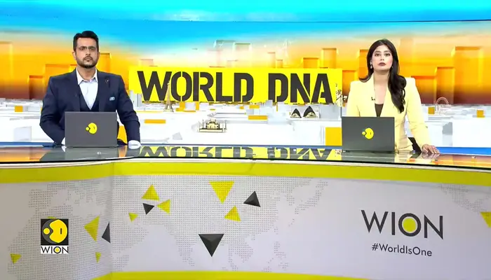 China and U.S. Report Significant Progress In Trade Talks | WION World DNA