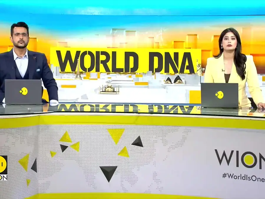 China and U.S. Report Significant Progress In Trade Talks | WION World DNA