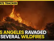 California wildfires: Los Angeles residents 'terrified' by projected forecast winds