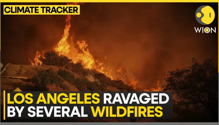 California wildfires: Los Angeles residents 'terrified' by projected forecast winds