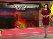 Wildfires rage in Corrientes, Argentina; firefighters warn of months-long battle