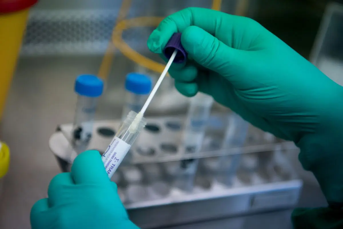 Researchers breach brain-blood barrier, deliver medicine precisely via nanoparticles