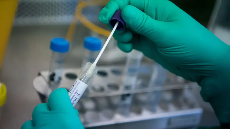 Researchers breach brain-blood barrier, deliver medicine precisely via nanoparticles
